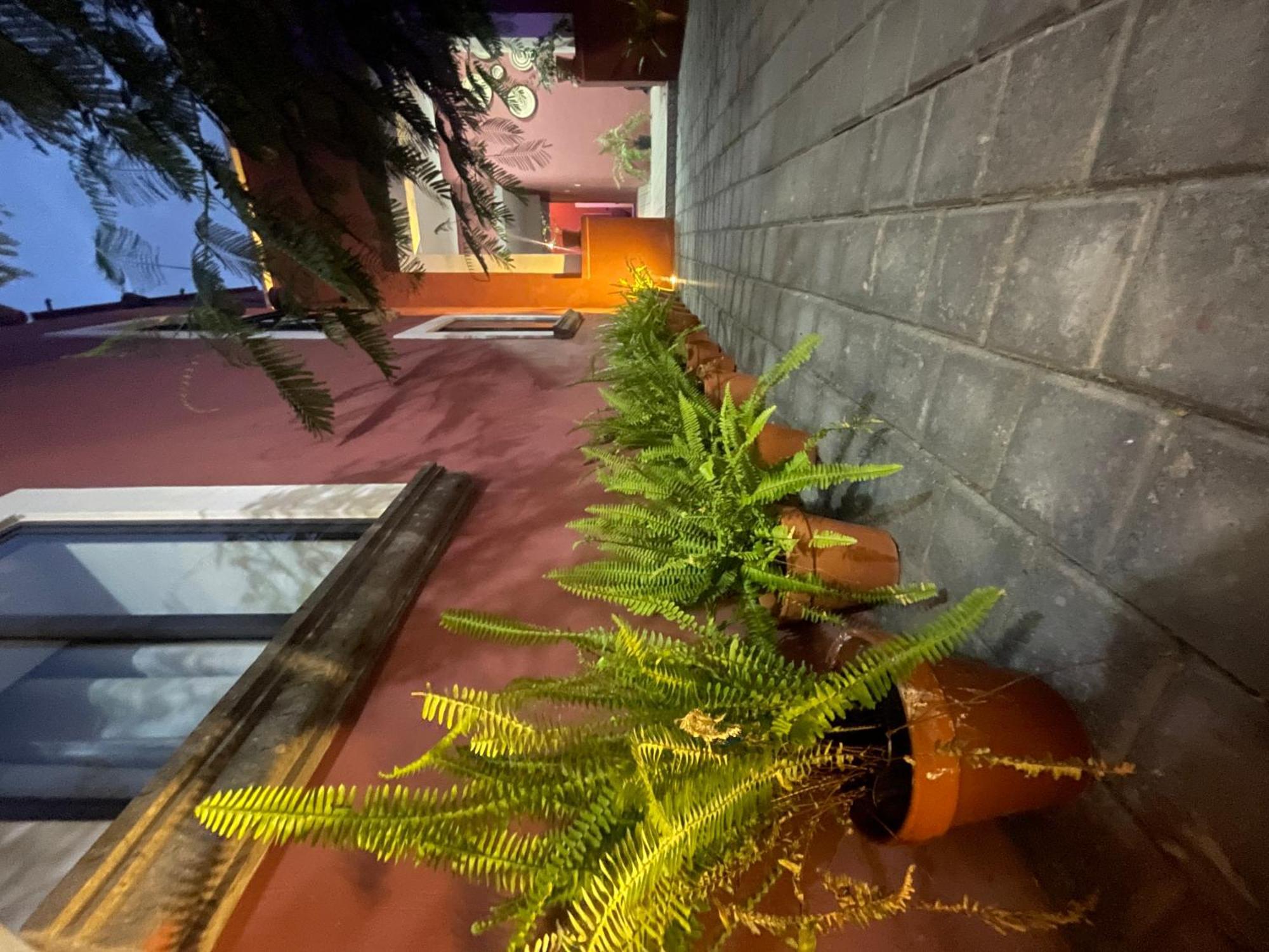 Hostel Quinta La Perla Guadalajara Zewnętrze zdjęcie
